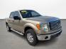 2011 Beige /gray Ford F-150 FX2 SuperCrew 5.5-ft. Bed 2WD (1FTFW1CF6BF) with an 5.0L V8 engine, Automatic transmission, located at 16710 Clay Rd., Houston, TX, 77084, (281) 859-7900, 29.834864, -95.656166 - Photo#0