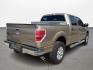 2011 Beige /gray Ford F-150 FX2 SuperCrew 5.5-ft. Bed 2WD (1FTFW1CF6BF) with an 5.0L V8 engine, Automatic transmission, located at 16710 Clay Rd., Houston, TX, 77084, (281) 859-7900, 29.834864, -95.656166 - Photo#4