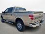 2011 Beige /gray Ford F-150 FX2 SuperCrew 5.5-ft. Bed 2WD (1FTFW1CF6BF) with an 5.0L V8 engine, Automatic transmission, located at 16710 Clay Rd., Houston, TX, 77084, (281) 859-7900, 29.834864, -95.656166 - Photo#6