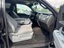 2011 Beige /gray Ford F-150 FX2 SuperCrew 5.5-ft. Bed 2WD (1FTFW1CF6BF) with an 5.0L V8 engine, Automatic transmission, located at 16710 Clay Rd., Houston, TX, 77084, (281) 859-7900, 29.834864, -95.656166 - Photo#11