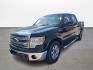 2013 Green /Gray Ford F-150 Platinum SuperCrew 6.5-ft. Bed 2WD (1FTFW1CT4DK) with an 3.5L V6 TURBO engine, 6-Speed Automatic transmission, located at 16710 Clay Rd., Houston, TX, 77084, (281) 859-7900, 29.834864, -95.656166 - Photo#0