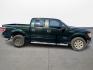2013 Green /Gray Ford F-150 Platinum SuperCrew 6.5-ft. Bed 2WD (1FTFW1CT4DK) with an 3.5L V6 TURBO engine, 6-Speed Automatic transmission, located at 16710 Clay Rd., Houston, TX, 77084, (281) 859-7900, 29.834864, -95.656166 - Photo#3