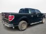 2013 Green /Gray Ford F-150 Platinum SuperCrew 6.5-ft. Bed 2WD (1FTFW1CT4DK) with an 3.5L V6 TURBO engine, 6-Speed Automatic transmission, located at 16710 Clay Rd., Houston, TX, 77084, (281) 859-7900, 29.834864, -95.656166 - Photo#4
