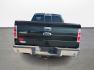 2013 Green /Gray Ford F-150 Platinum SuperCrew 6.5-ft. Bed 2WD (1FTFW1CT4DK) with an 3.5L V6 TURBO engine, 6-Speed Automatic transmission, located at 16710 Clay Rd., Houston, TX, 77084, (281) 859-7900, 29.834864, -95.656166 - Photo#5