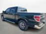 2013 Green /Gray Ford F-150 Platinum SuperCrew 6.5-ft. Bed 2WD (1FTFW1CT4DK) with an 3.5L V6 TURBO engine, 6-Speed Automatic transmission, located at 16710 Clay Rd., Houston, TX, 77084, (281) 859-7900, 29.834864, -95.656166 - Photo#6