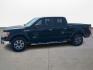 2013 Green /Gray Ford F-150 Platinum SuperCrew 6.5-ft. Bed 2WD (1FTFW1CT4DK) with an 3.5L V6 TURBO engine, 6-Speed Automatic transmission, located at 16710 Clay Rd., Houston, TX, 77084, (281) 859-7900, 29.834864, -95.656166 - Photo#7
