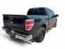 2013 Green /Gray Ford F-150 Platinum SuperCrew 6.5-ft. Bed 2WD (1FTFW1CT4DK) with an 3.5L V6 TURBO engine, 6-Speed Automatic transmission, located at 16710 Clay Rd., Houston, TX, 77084, (281) 859-7900, 29.834864, -95.656166- Photo#1