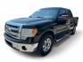 2013 Green /Gray Ford F-150 Platinum SuperCrew 6.5-ft. Bed 2WD (1FTFW1CT4DK) with an 3.5L V6 TURBO engine, 6-Speed Automatic transmission, located at 16710 Clay Rd., Houston, TX, 77084, (281) 859-7900, 29.834864, -95.656166- Photo#2