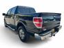 2013 Green /Gray Ford F-150 Platinum SuperCrew 6.5-ft. Bed 2WD (1FTFW1CT4DK) with an 3.5L V6 TURBO engine, 6-Speed Automatic transmission, located at 16710 Clay Rd., Houston, TX, 77084, (281) 859-7900, 29.834864, -95.656166- Photo#4
