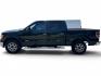 2013 Green /Gray Ford F-150 Platinum SuperCrew 6.5-ft. Bed 2WD (1FTFW1CT4DK) with an 3.5L V6 TURBO engine, 6-Speed Automatic transmission, located at 16710 Clay Rd., Houston, TX, 77084, (281) 859-7900, 29.834864, -95.656166- Photo#7