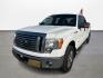 2012 Ford F-150 Platinum SuperCrew 6.5-ft. Bed 2WD (1FTFW1CT6CK) with an 3.5L V6 TURBO engine, 6-Speed Automatic transmission, located at 16710 Clay Rd., Houston, TX, 77084, (281) 859-7900, 29.834864, -95.656166 - Photo#0