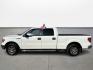 2012 Ford F-150 Platinum SuperCrew 6.5-ft. Bed 2WD (1FTFW1CT6CK) with an 3.5L V6 TURBO engine, 6-Speed Automatic transmission, located at 16710 Clay Rd., Houston, TX, 77084, (281) 859-7900, 29.834864, -95.656166 - Photo#7