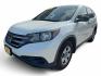 2014 Honda CR-V LX 2WD 5-Speed AT (5J6RM3H34EL) with an 2.4L L4 DOHC 16V engine, 5-Speed Automatic transmission, located at 16710 Clay Rd., Houston, TX, 77084, (281) 859-7900, 29.834864, -95.656166- Photo#5
