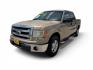 2014 Ford F-150 XLT SuperCrew 5.5-ft. Bed 2WD (1FTEW1CM2EK) with an 3.7L V6 DOHC 24V engine, 6A transmission, located at 16710 Clay Rd., Houston, TX, 77084, (281) 859-7900, 29.834864, -95.656166- Photo#2