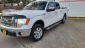 2010 White Ford F-150 Lariat SuperCrew 5.5-ft. Bed 2WD (1FTFW1CV0AK) with an 5.4L V8 SOHC 24V FFV engine, 4-Speed Automatic transmission, located at 16710 Clay Rd., Houston, TX, 77084, (281) 859-7900, 29.834864, -95.656166 - Low Down. Low Payments. - Photo#3